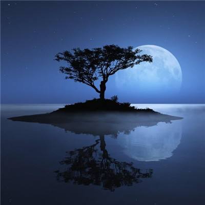 澳大利亚威斯尼斯wns888